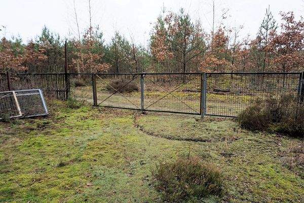 Zufahrt hinten (2).JPG