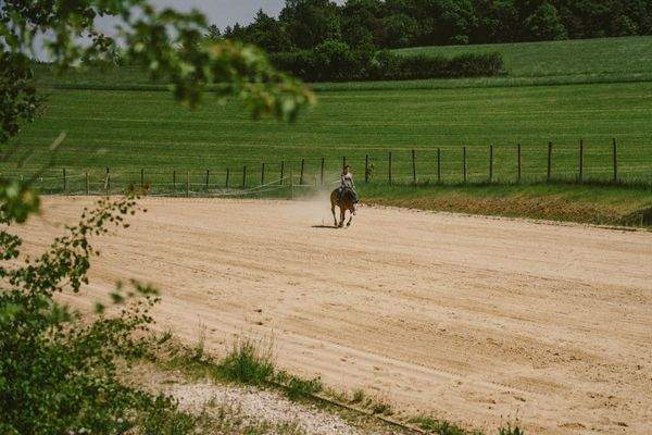 20250514-DSC09924-SJ Photography (Selina Jakob)