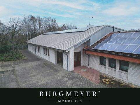 Lingen Halle, Lingen Hallenfläche