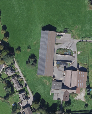 TIM Online 2025 (4).png