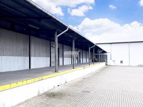 Kölleda Halle, Kölleda Hallenfläche