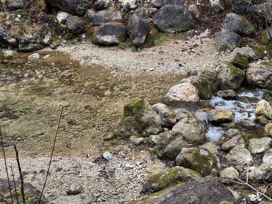 Wildbach ca. 200 m durch Wald