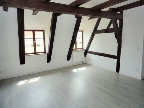 Zwickau Wohnungen, Zwickau Wohnung mieten