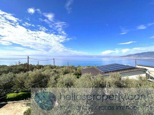 img_5588a259-d906-4f2e-b276-3b23cd719ac6