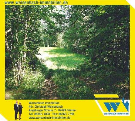 Weisenbach Immobilien