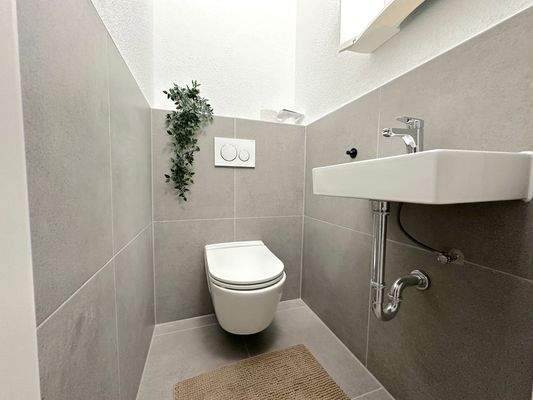 Modernes WC mit Pflanze