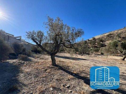 Kreta, Kamilari: Grundstück mit Blick auf das Dorf und die Berge zu verkaufen