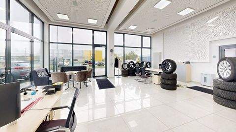 Offenbach an der Queich Halle, Offenbach an der Queich Hallenfläche