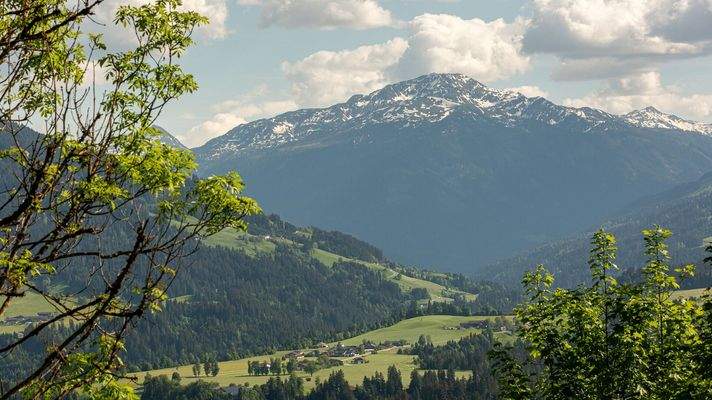 KITZIMMO-Grundstück mit Baugenehmigung für 2 Luxuschalets - Immobilien Itter kaufen.