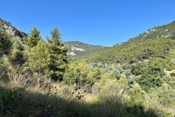Außergewöhnliches Grundstück mit Aussicht und gültiger Lizenz