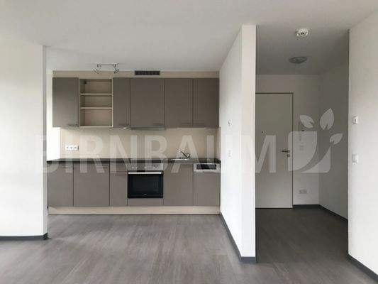 Küche-Wohnzimmer-Flur