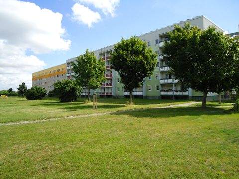 Calbe (Saale) Wohnungen, Calbe (Saale) Wohnung mieten