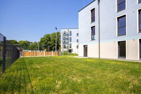 Wiener Neustadt Wohnungen, Wiener Neustadt Wohnung kaufen