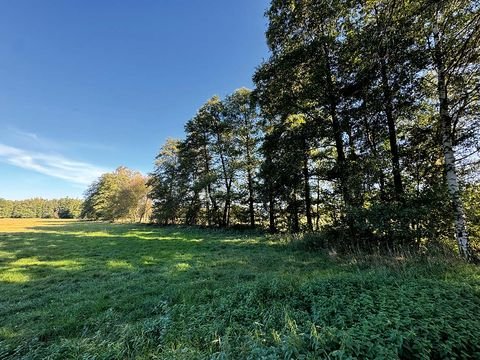 Rietschen Bauernhöfe, Landwirtschaft, Rietschen Forstwirtschaft