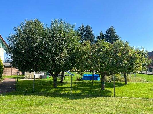 Obstbäume im großzügigen Garten