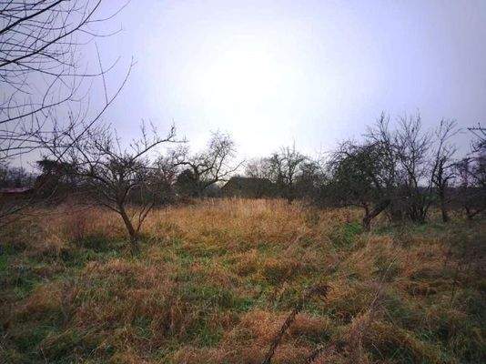 Blick über das Grundstück Bild 1