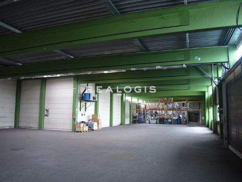 Reinbek Halle, Reinbek Hallenfläche