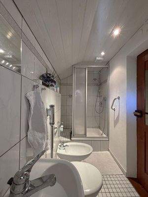 Gäste-WC m. Dusche - EG Altbau