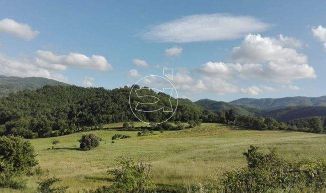 Repräsentatives Anwesen | Borgo San Lorenzo