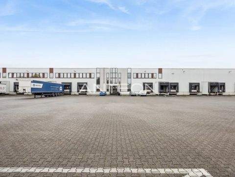 Grevenbroich Halle, Grevenbroich Hallenfläche