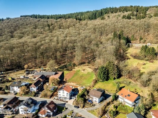 Direkt am Waldrand