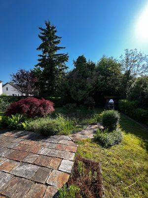 Blick in den Garten