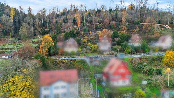 Panormablick ins Grüne