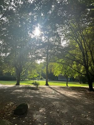 Waldpark
