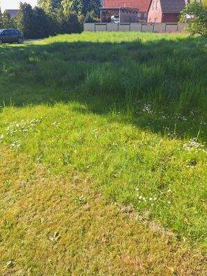 Blick auf das Wohngrundstück 