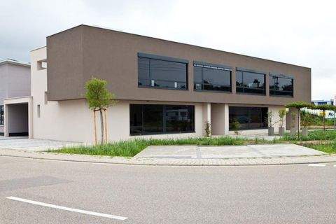 Kronau Büros, Büroräume, Büroflächen 