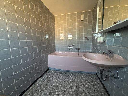 Mit Zugang zum Tageslichtbad (Badewanne, Waschbecken)