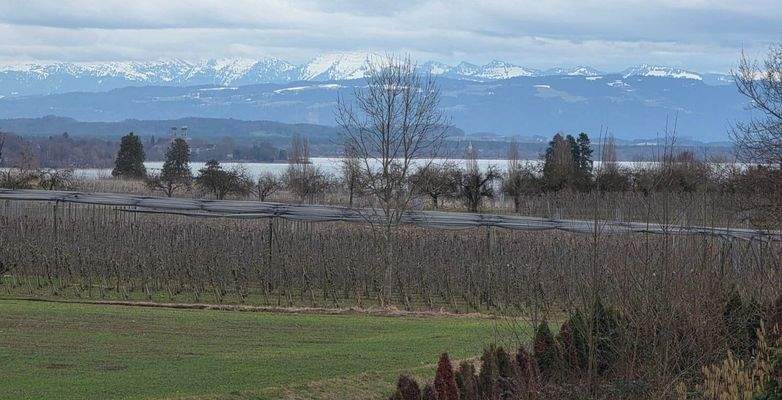 Aussicht Original aus der Whg.