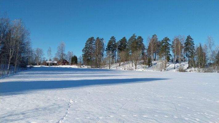 Ansicht zum Hof & Wiese