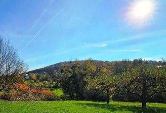 Blick auf das Grundstück