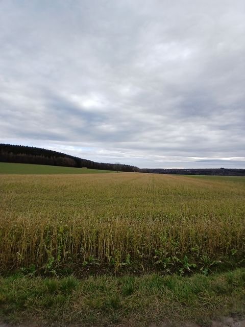 Mindelheim / Unterauerbach Bauernhöfe, Landwirtschaft, Mindelheim / Unterauerbach Forstwirtschaft