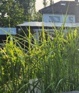 Blick zum Haus mit Terrasse