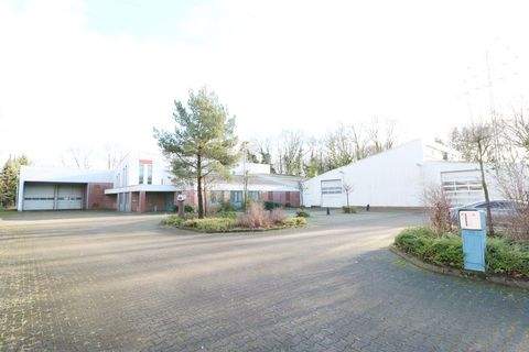 Cloppenburg Halle, Cloppenburg Hallenfläche