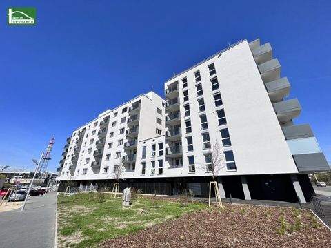 Wien Wohnungen, Wien Wohnung mieten