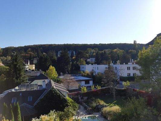 Blick von Terrasse Richtung Süden