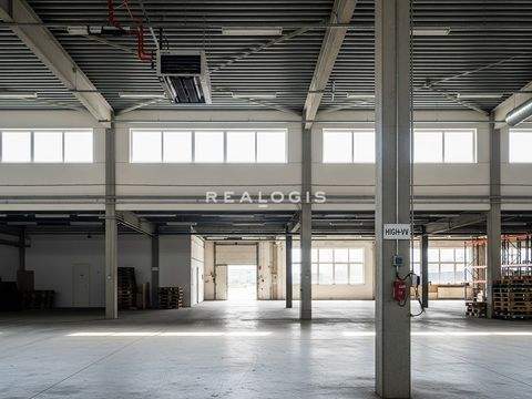 Köngen Halle, Köngen Hallenfläche