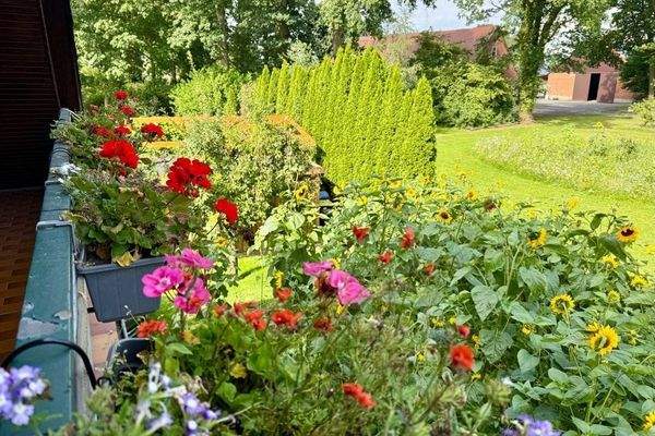 Gartenansicht im Sommer vom Balkon aus