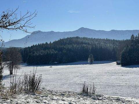Riegsee / Aidling Bauernhöfe, Landwirtschaft, Riegsee / Aidling Forstwirtschaft
