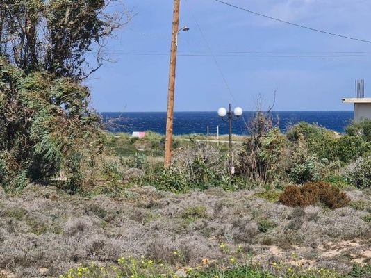 Kreta, Stavros: Riesiges Grundstück in Strandnähe 