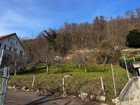 Grenzach-Wyhlen Grundstücke, Grenzach-Wyhlen Grundstück kaufen