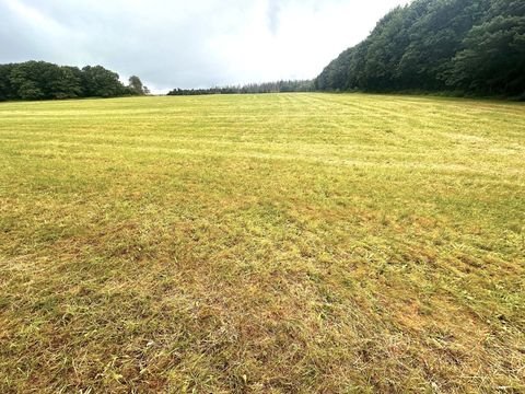 Schleiden Bauernhöfe, Landwirtschaft, Schleiden Forstwirtschaft