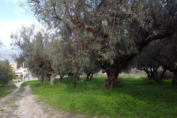 Kreta, Kalyves: Grundstück mit bezauberndem Meerblick zu verkaufen, nur wenige Schritte vom Strand entfernt