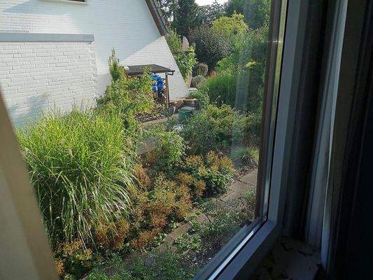 Blick aus Kinderzimmer 2