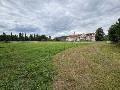 Lohr am Main Grundstücke, Lohr am Main Grundstück kaufen