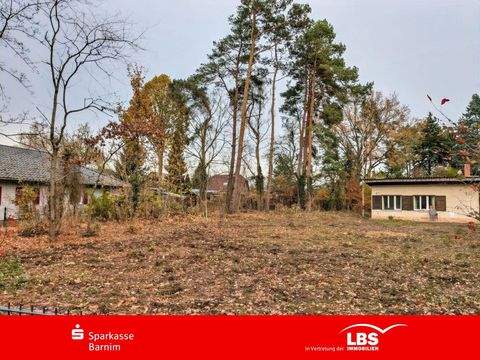 Biesenthal Grundstücke, Biesenthal Grundstück kaufen