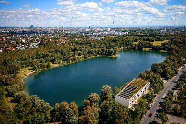 Vogelperspektive (Visualisierung)